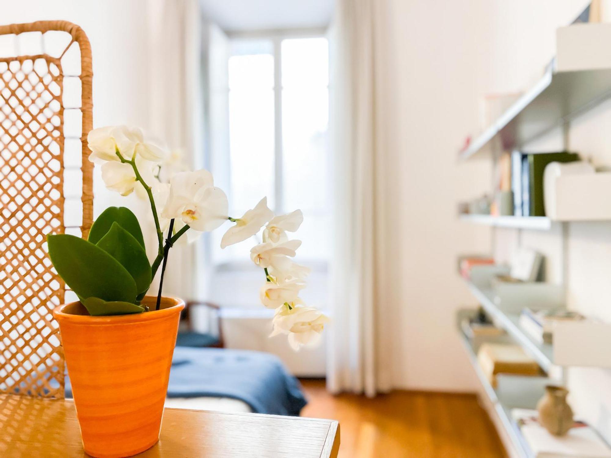 Stile & Comfort Near P. Signoria Флоренция Екстериор снимка